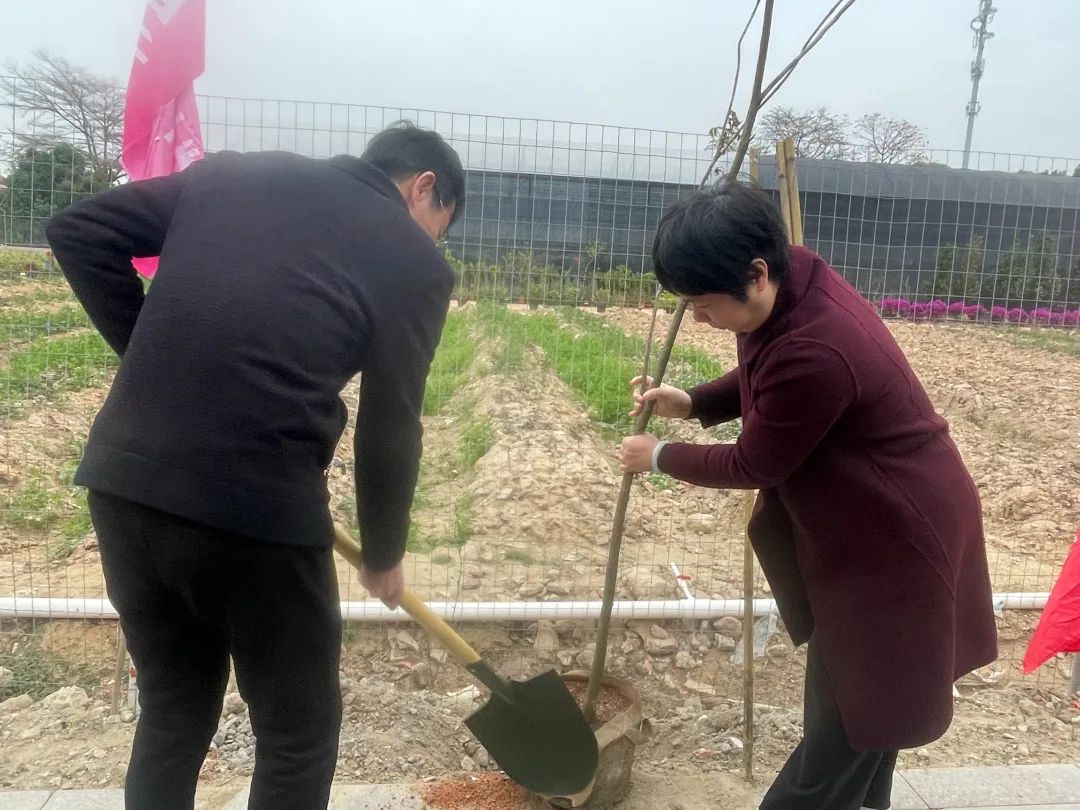 支持乡村绿化,助推龙湖百千万工程