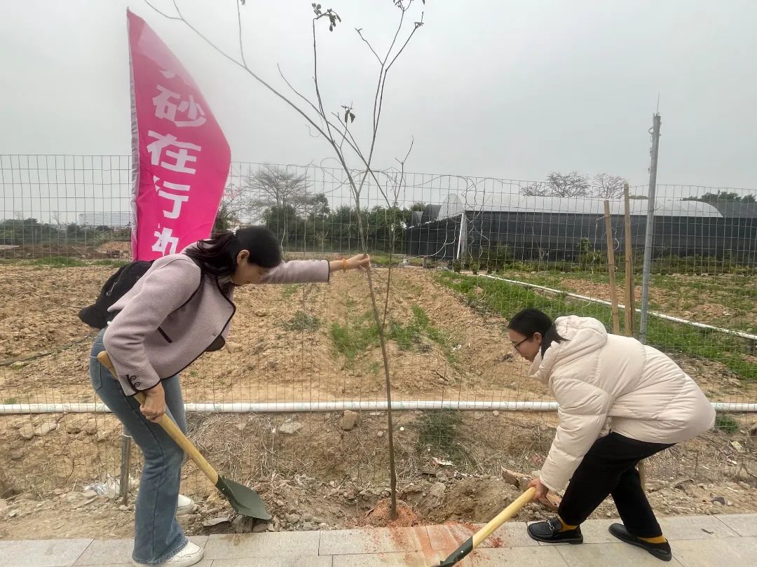 支持乡村绿化,助推龙湖百千万工程